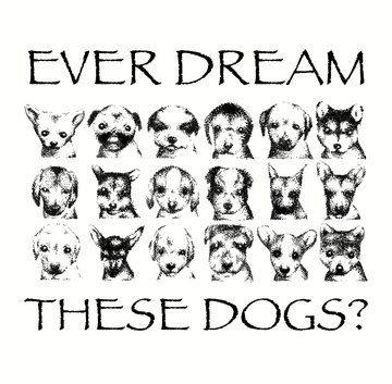 Nintendogs dreams